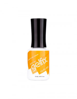 GelFix Costa Rica