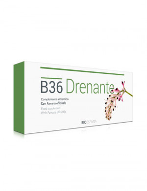 B36 Drenantes